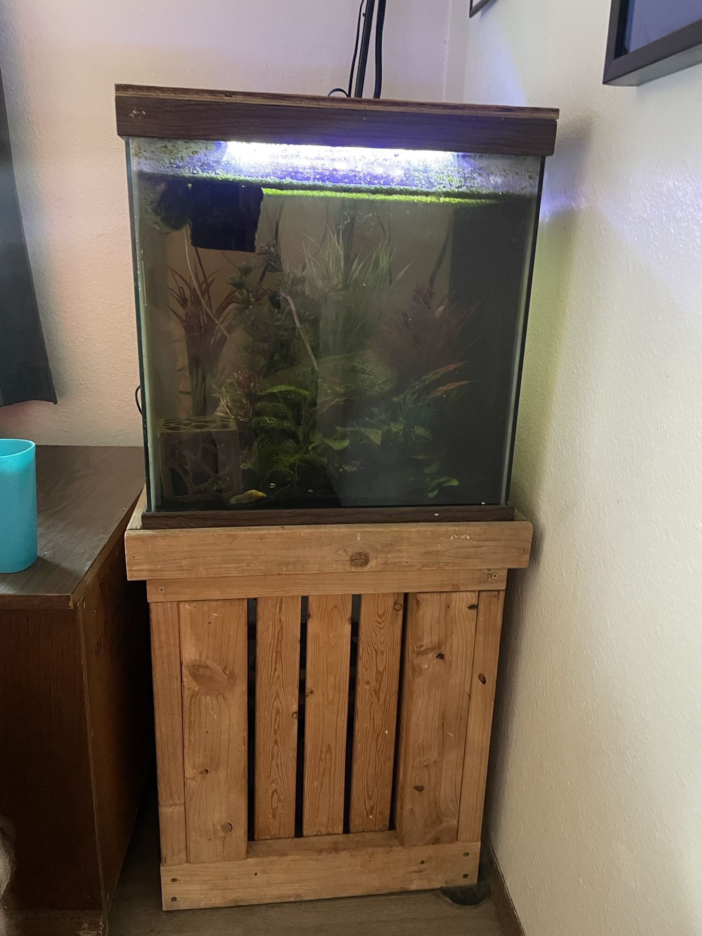 30 Gallon Cube Fish Tank With Stand