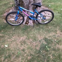 24” Mountain Bike 