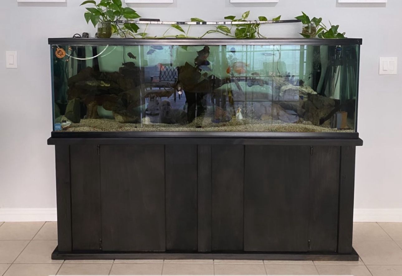 125 Gallon Fish Tank