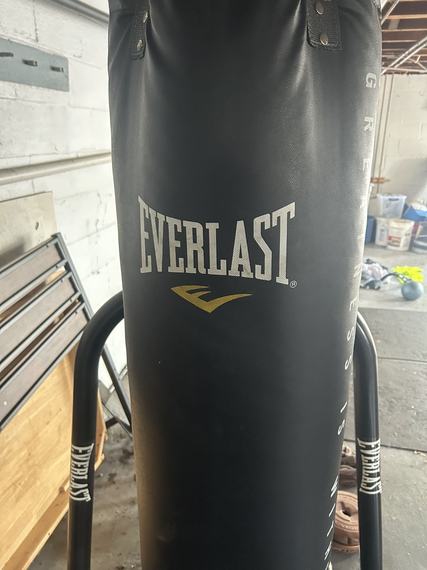 Everlast Punching Bag Set