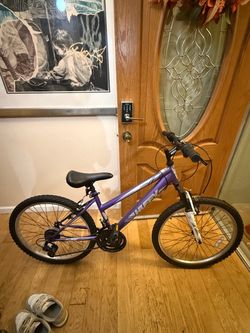 Huffy Mountain Bike Purple