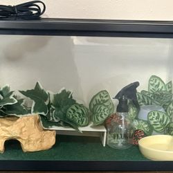 Ten Gallon Reptile Tank