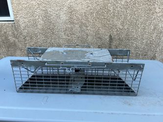 Humane animal traps