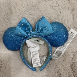 Disney Ears 