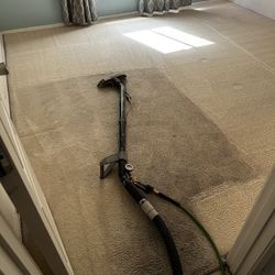Carpet Cleaner