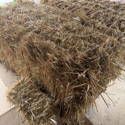 Bale of straw (hay)