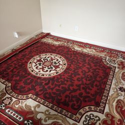 Huge Persian Rug! 10ft x 12ft 