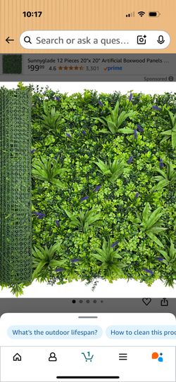 Boxwood Greenery Rolls