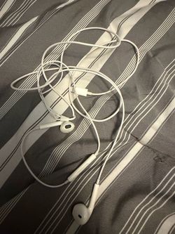 Apple wired earbuds