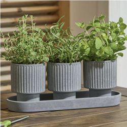 4-Piece Ceramic Herb Planter, Gray