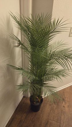 Artificial Plant