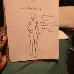 Female Body Idea