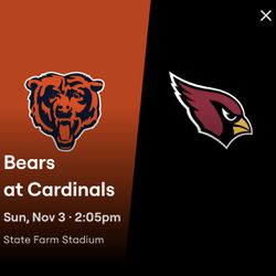 6 Tickets Section 117 Row 11 Lower Level With Orange Parking Pass To Bears And Cardinals.  Asking $400 Each.