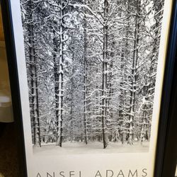 Ansel Adams Pictures 