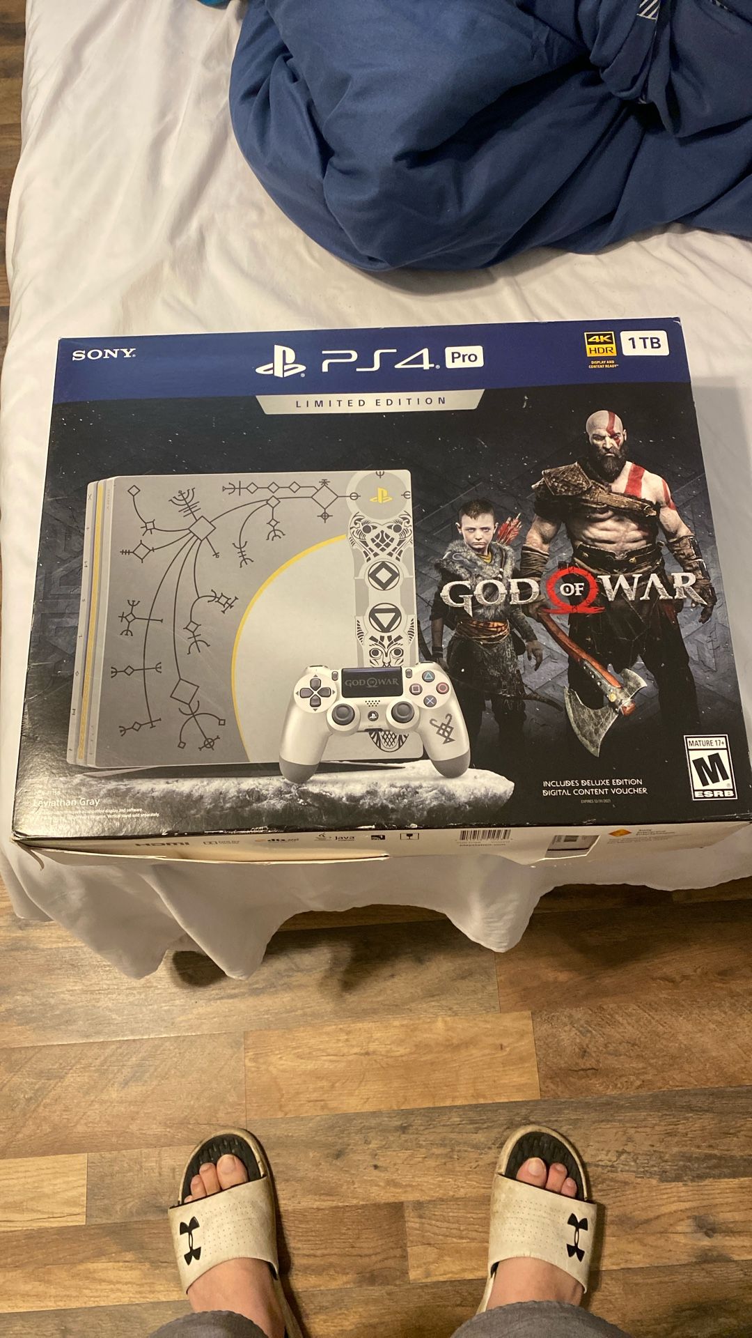 PS4 Pro God Of War Edición