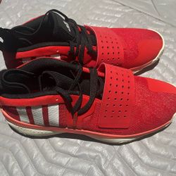 Adidas Shoes 