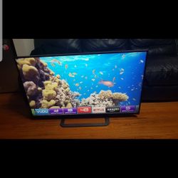 Vizio 50" Smart Tv