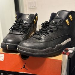 Jordan 12 Master