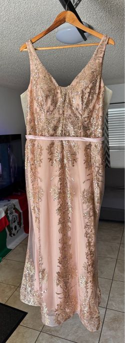 Pink rose gold elegant dress, gown dress