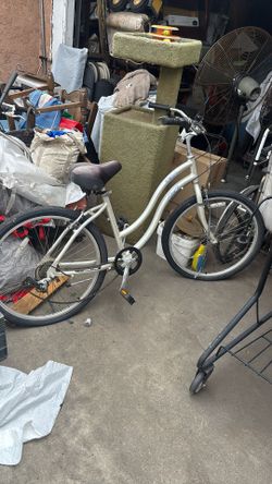 Mango Bike