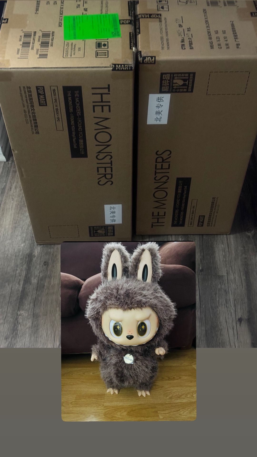 I Found You Vinyl Doll labubu The Monsters Zimomo Popmart