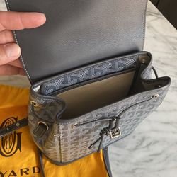 goyard backpack size