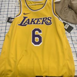 Lebron James Number 6 Jersey 