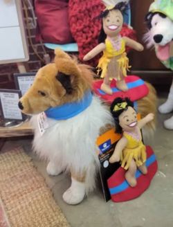 NWT Disney Moana Dog Halloween Costume size L/XL - 2 available