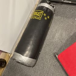 Boxing Bag 