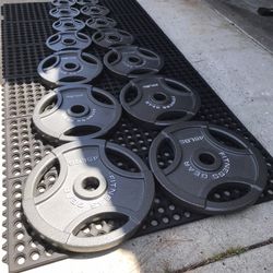 Weights With Weight  And Barbell Holder 