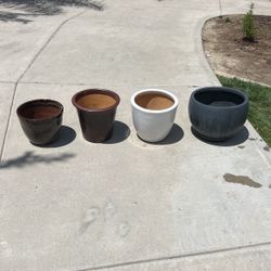 Plant Pots