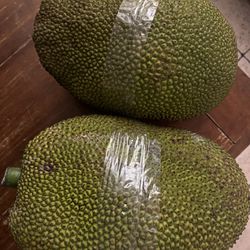 Jack Fruit Pick Up From 15 Up To 23 Pounds 