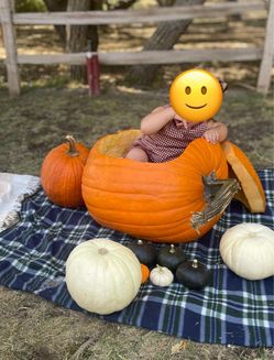 Massive Pumpkin to put Baby Toddler Kid in