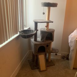 Brand-new cat post