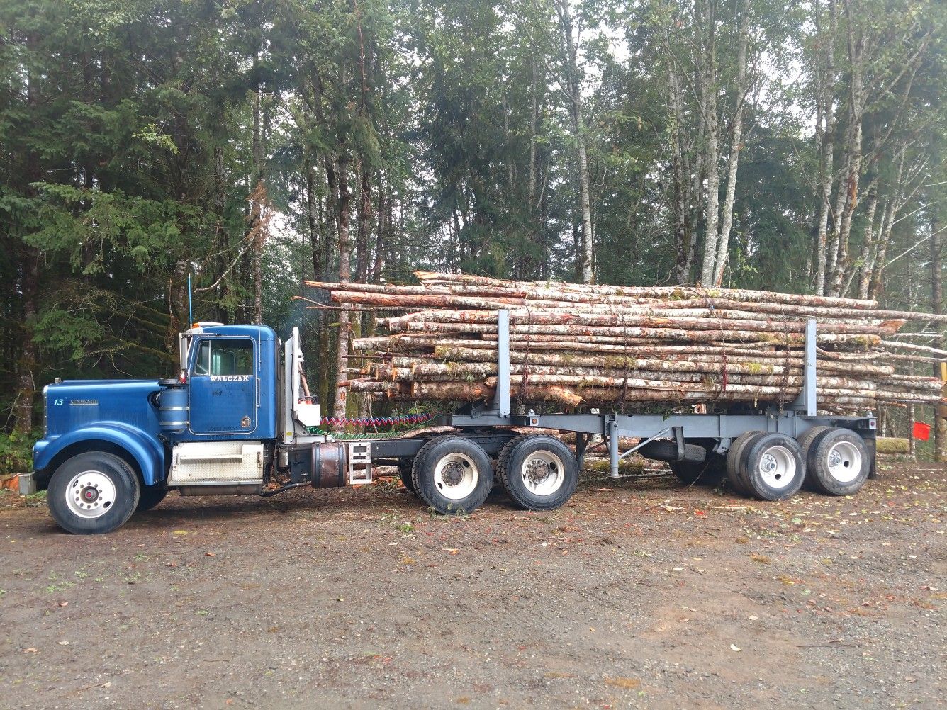 Fire wood delivered 650 obo