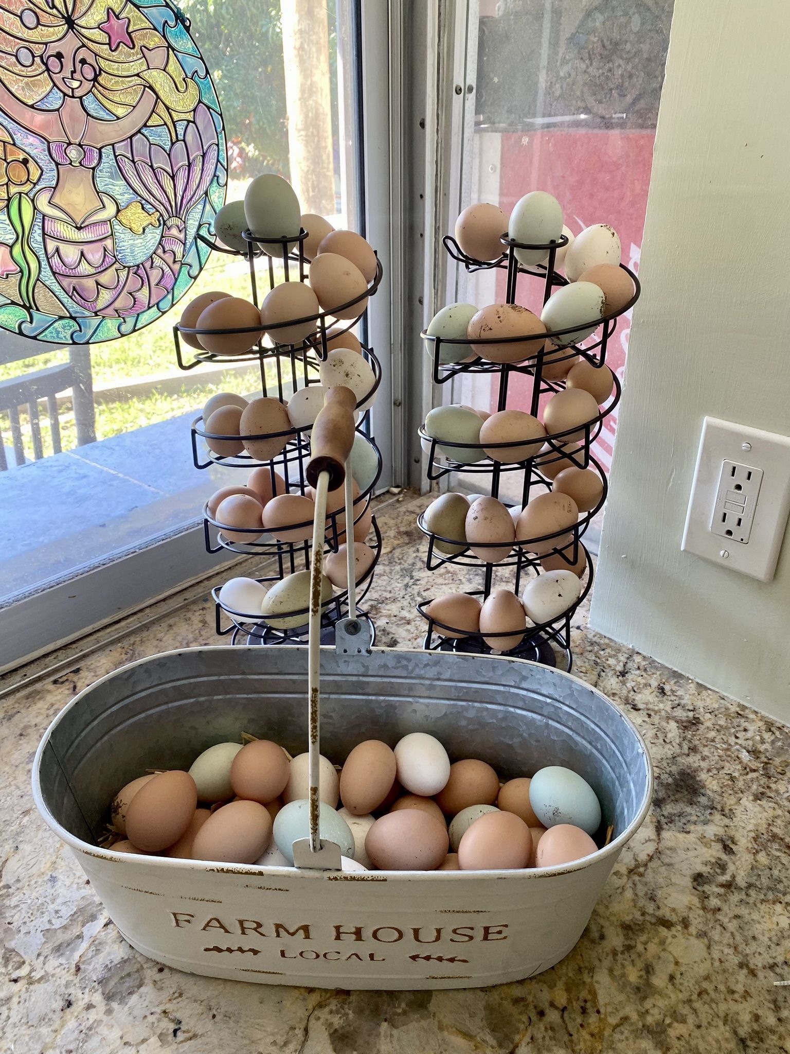 Fresh Eggs!! !