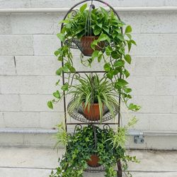 3-Tier Vintage Wrought Iron Plant Stand / Wire Basket Shelf