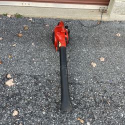Leave Blower 