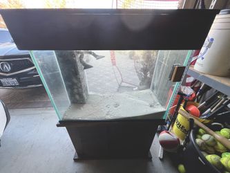40 GALLON FISH TANK