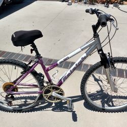 Just Tuned Up Raleigh M20