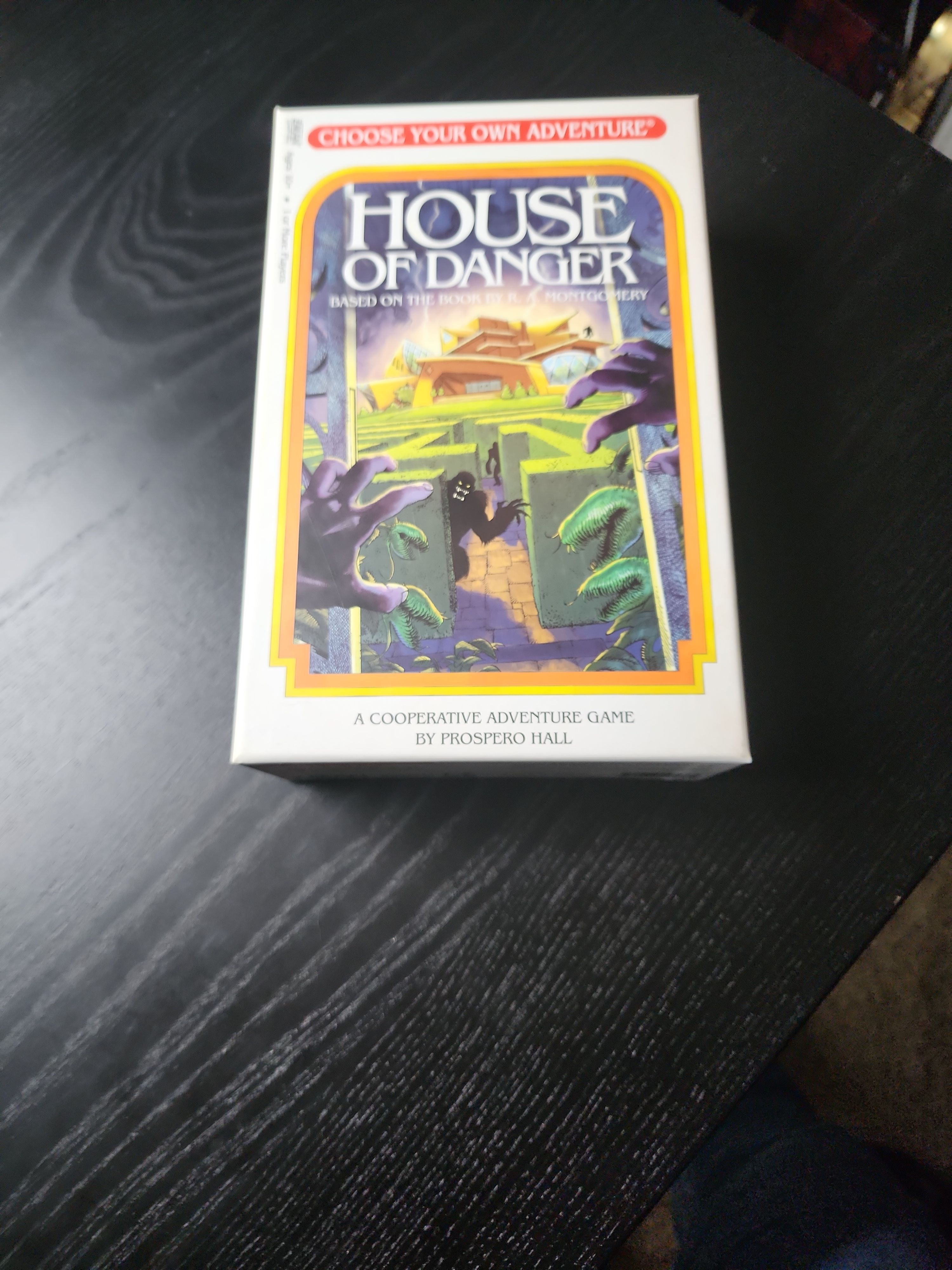 House of Danger Choose Your Adventure Game