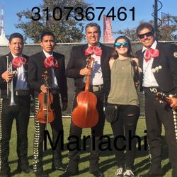 Trompeta Vihuela De Mariachi 