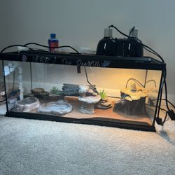 Bearded Dragon Cage