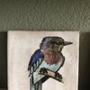 Kevin