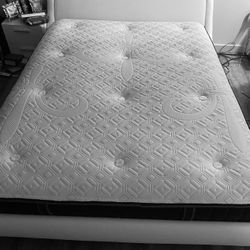 Leather Bed New  Frame Only 