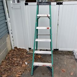 Werner Ladder  6 Foot 