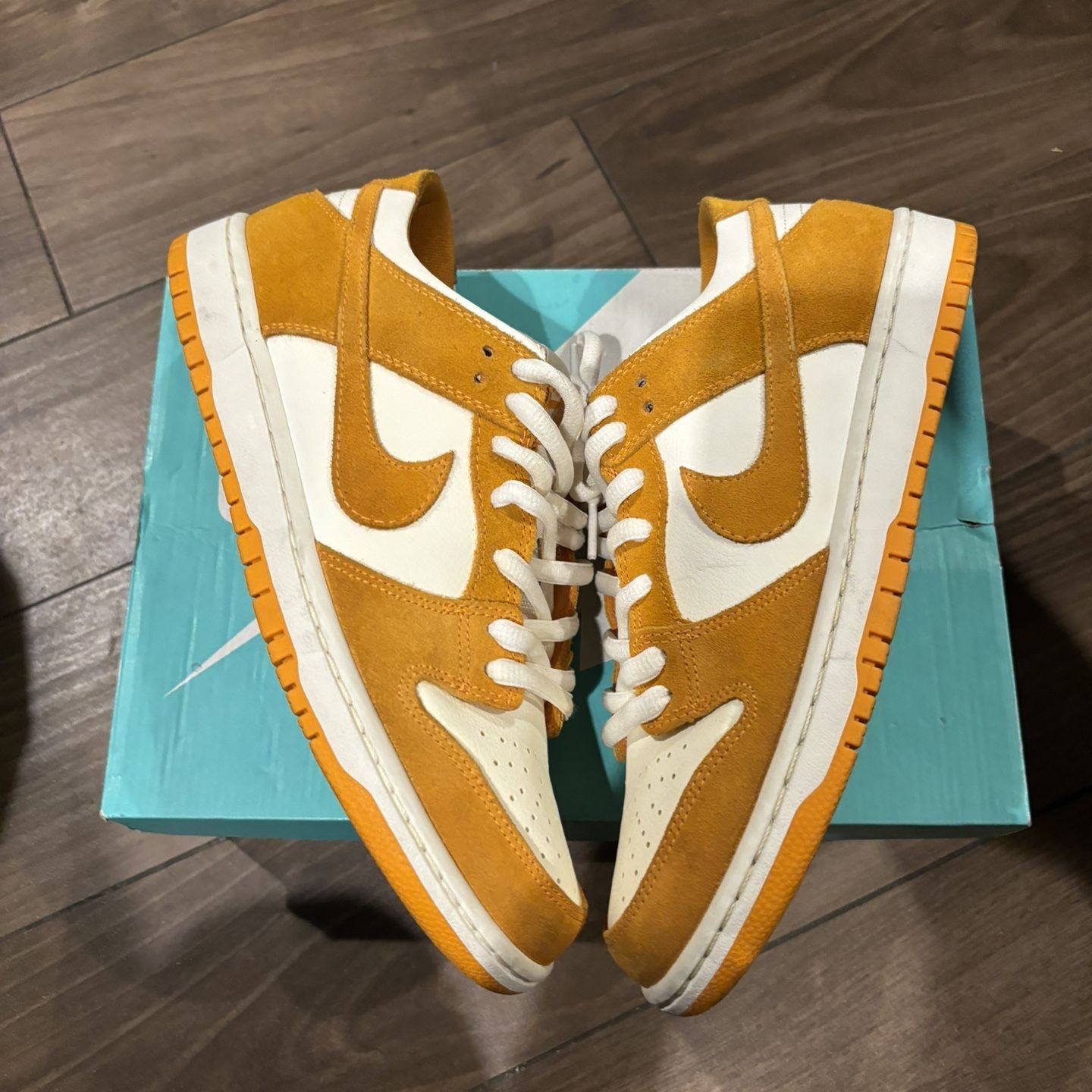 Nike sb dunk circuit orange hotsell