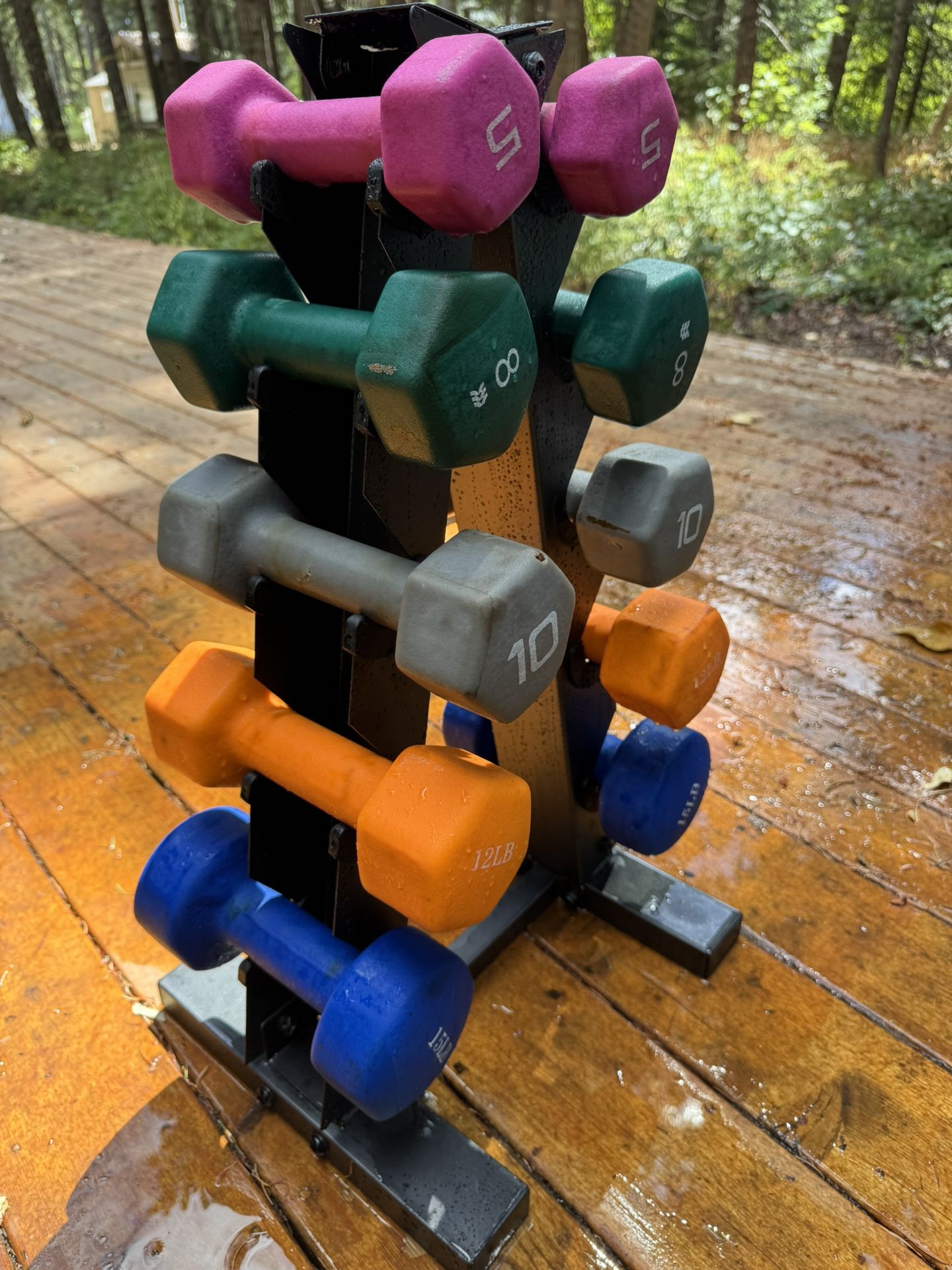 Women’s free weights with stand