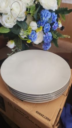 10 white caterers dinner plates.
