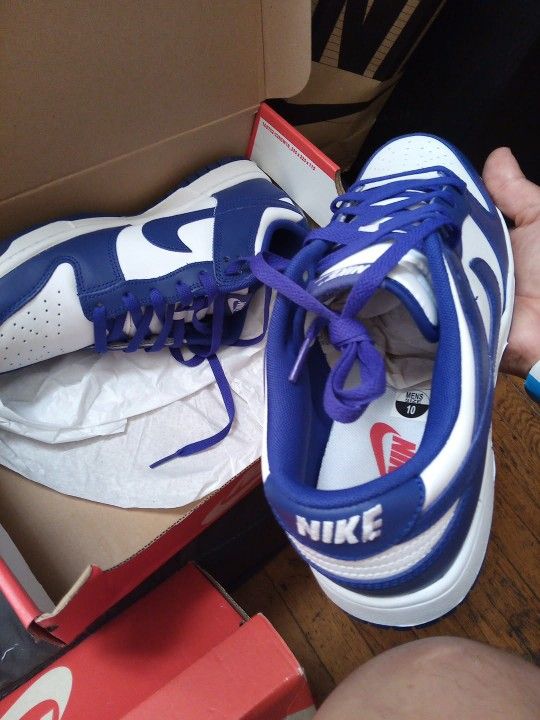 Size 10 Nike Dunks